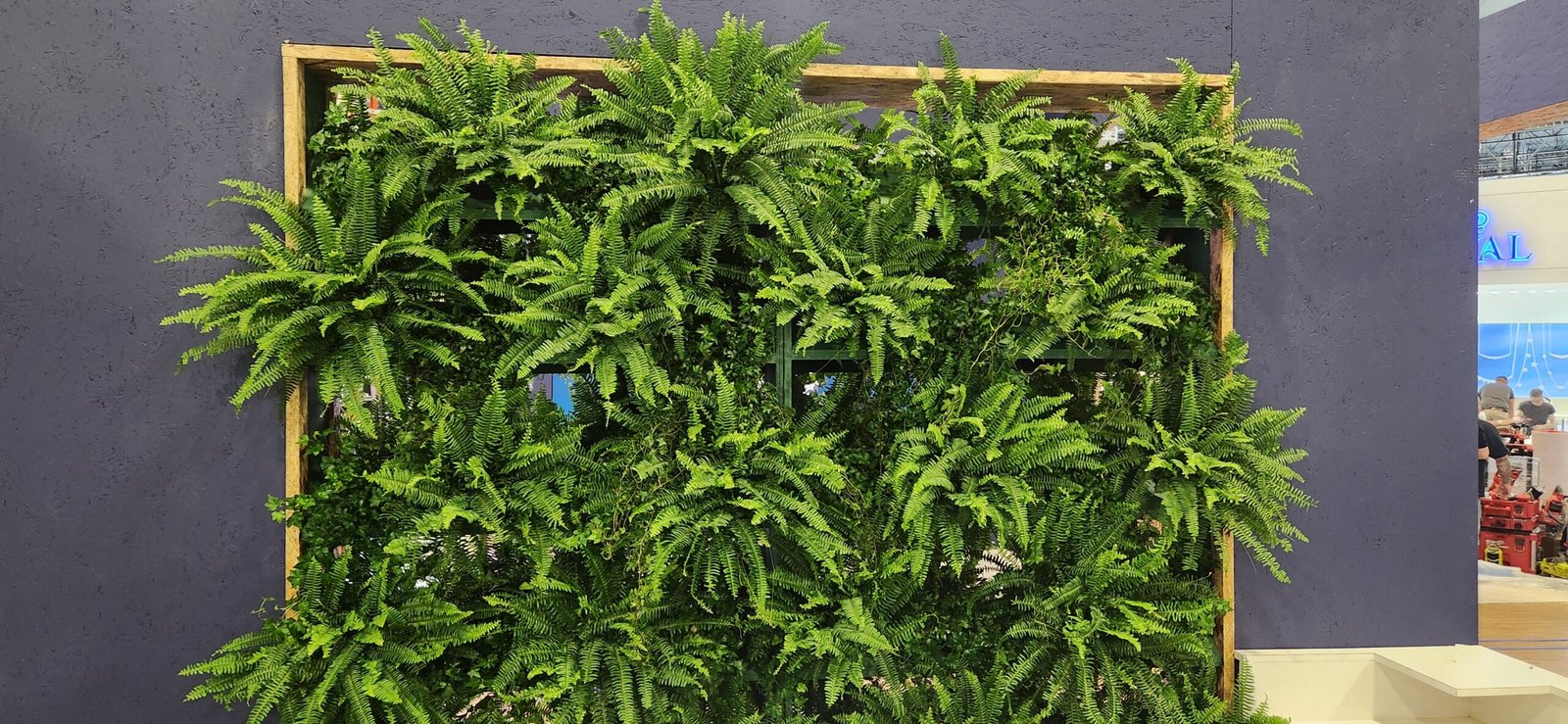 Expo Ease show design build event plant rental